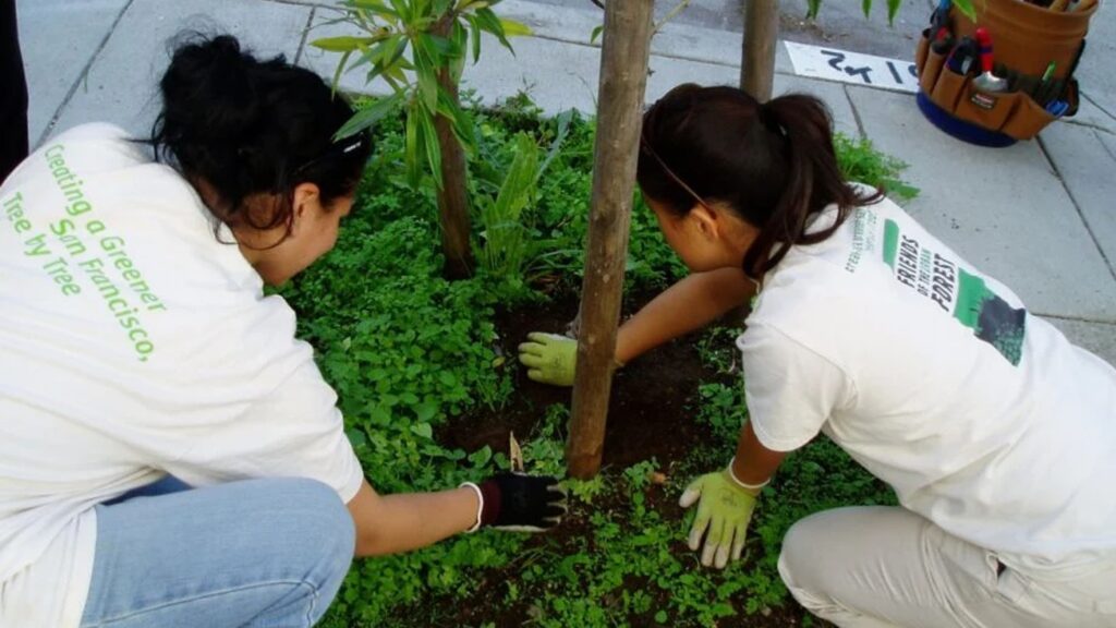 city-tree-biodiversity-helps-protect-urban-forests-—-and-our-health-|-greenbiz