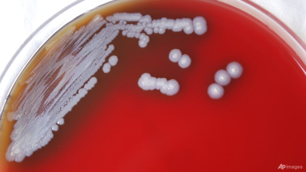 bacterial-infections-the-'second-leading-cause-of-death-worldwide'