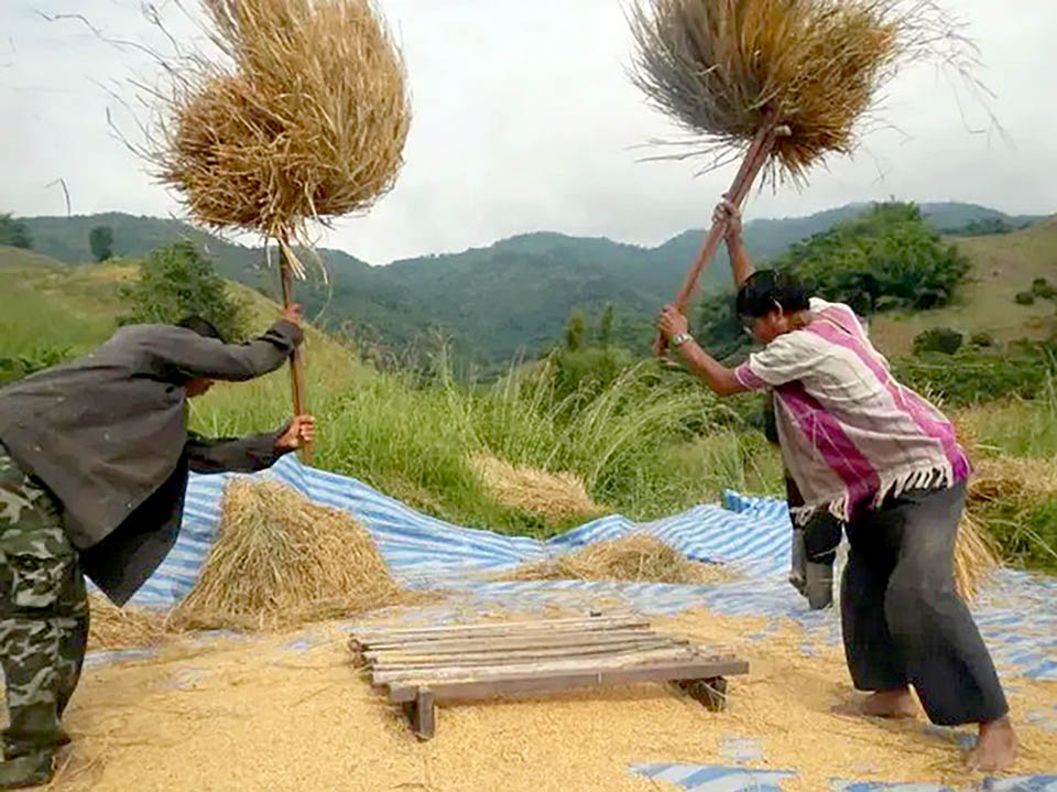 cambodian-rice-narrowly-defeat-thai-fragrant-rice-as-world-champion-–-pattaya-mail-–