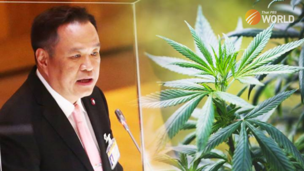 thailand’s-health-minister-anutin-defends-cannabis-bill-in-parliament