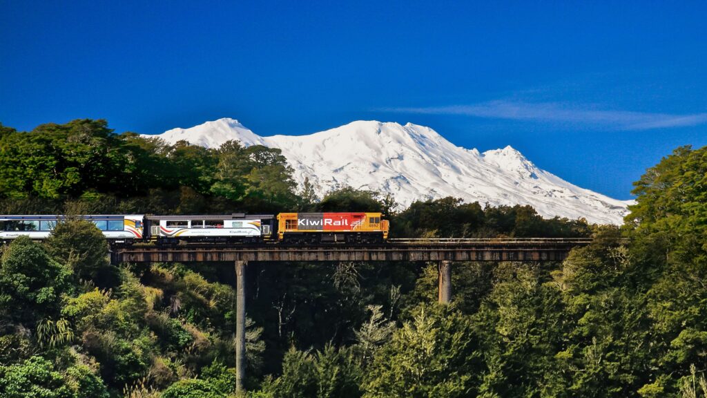 new-tourism-packages-to-bring-visitors-to-taumarunui-–-hotel-magazine