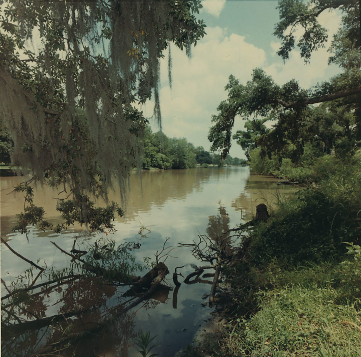 james-lee-burke’s-bayou-baptism