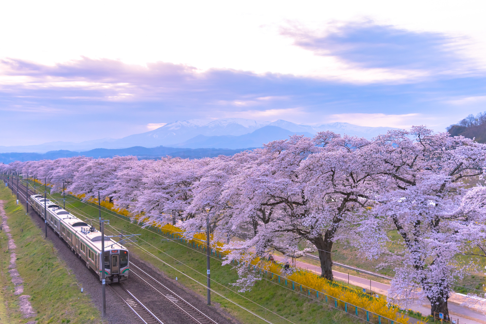 free-rail-pass-and-travel-products-in-tohoku,-japan-with-klook