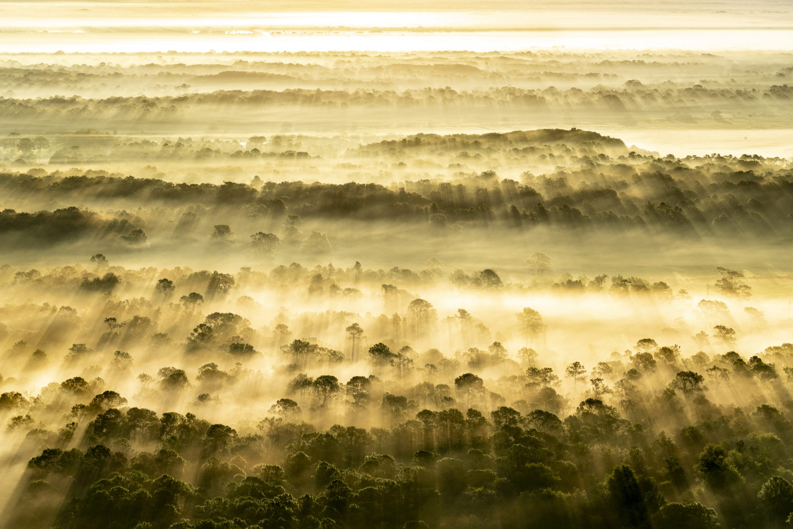 inside-florida's hugely-ambitious-conservation-plan