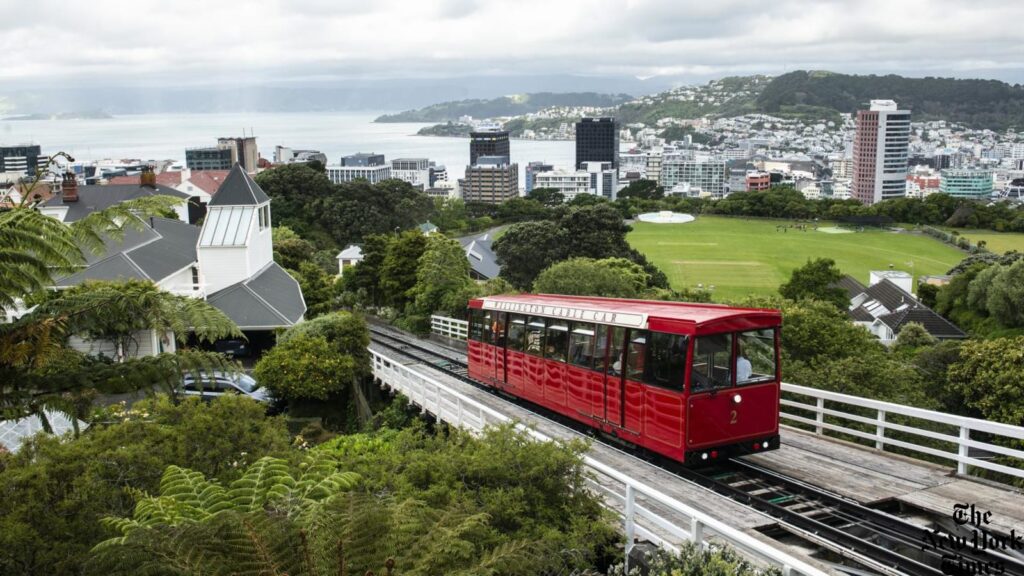 36-hours-in-wellington:-where-to-eat,-drink,-shop-and-make-the-most-of-your-new-zealand-holiday