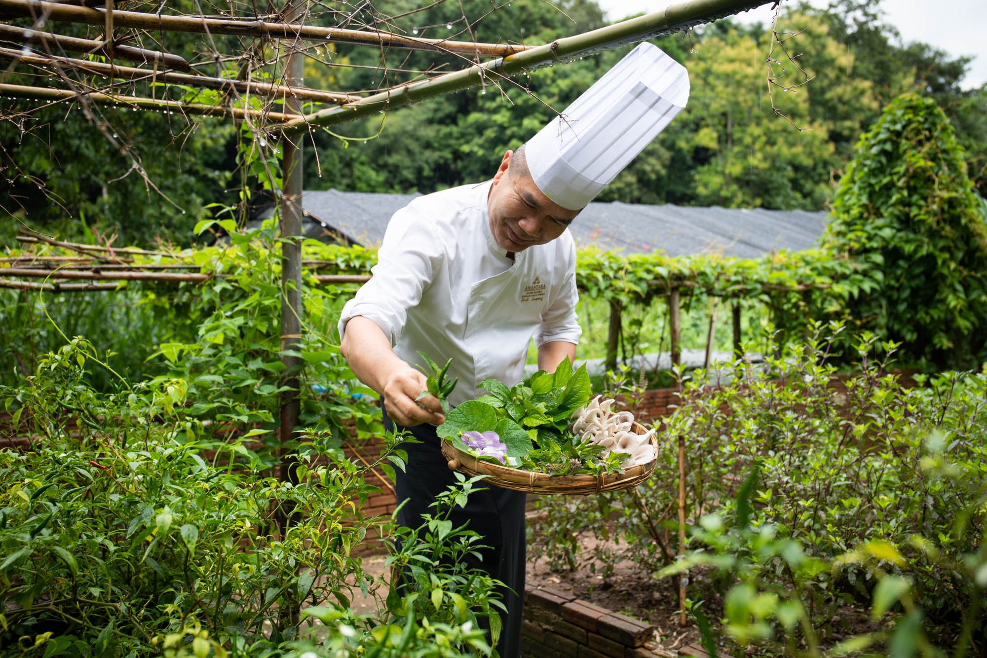 chef-of-the-month-:-pisit-jinopong