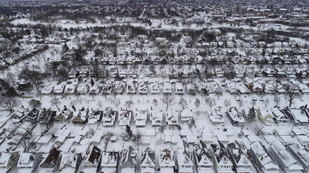 how-a-blizzard-stunned-even-winter-wise-buffalo