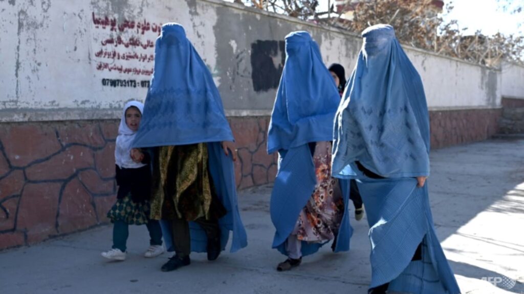 'we-simply-cannot-function':-ngos-push-back-against-taliban-ban-on-female-staff-members