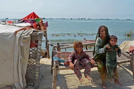 pakistan-to-seek-over-$16-billion-at-un-conference-for-rehabilitation-after-last-year's-flood
