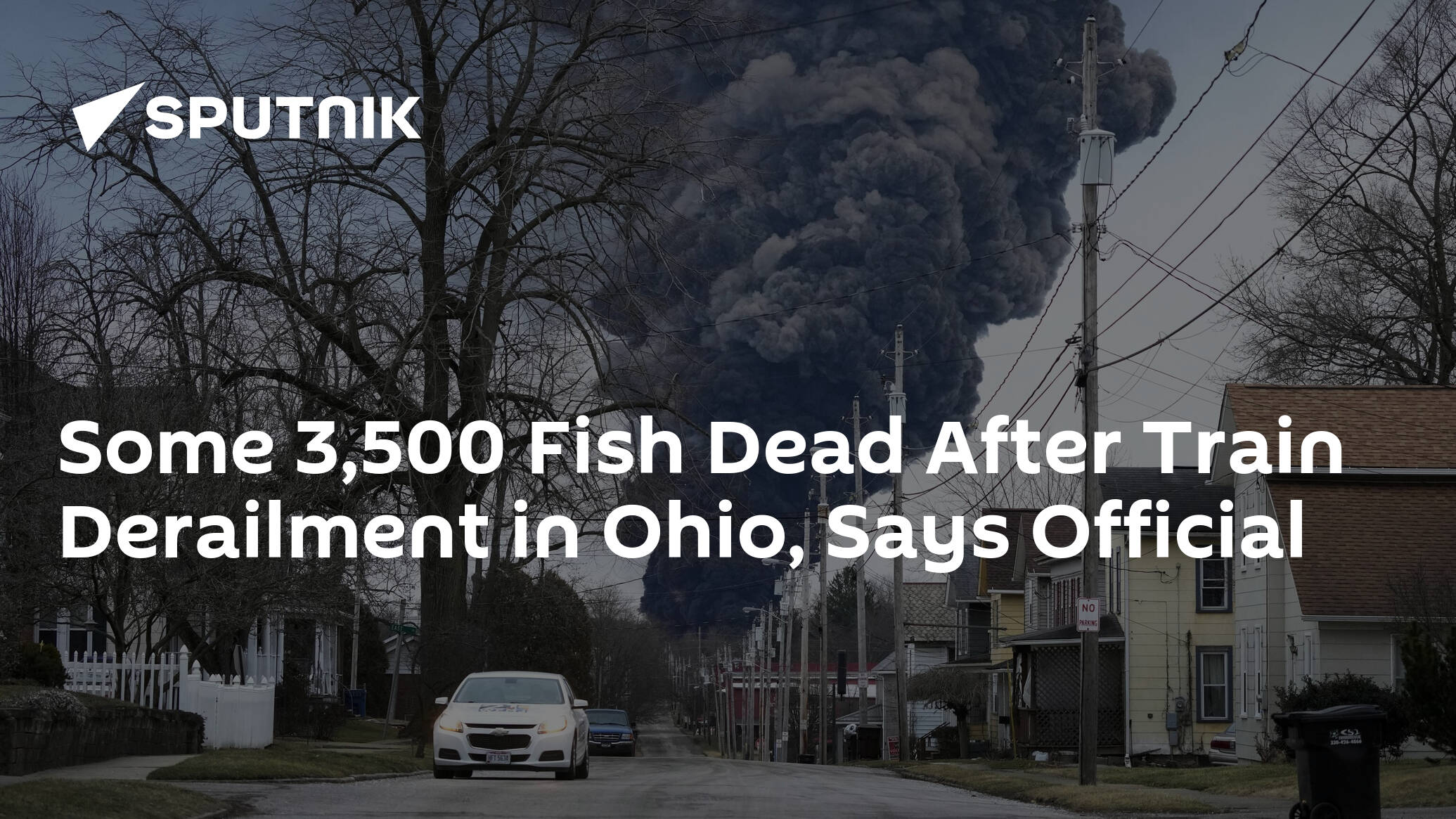 some-3,500-fish-dead-after-train-derailment-in-ohio,-says-official