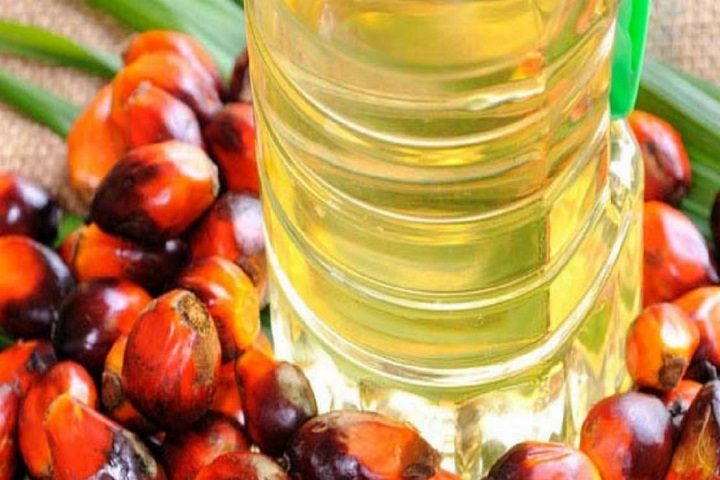 no-alternative-to-palm-oil