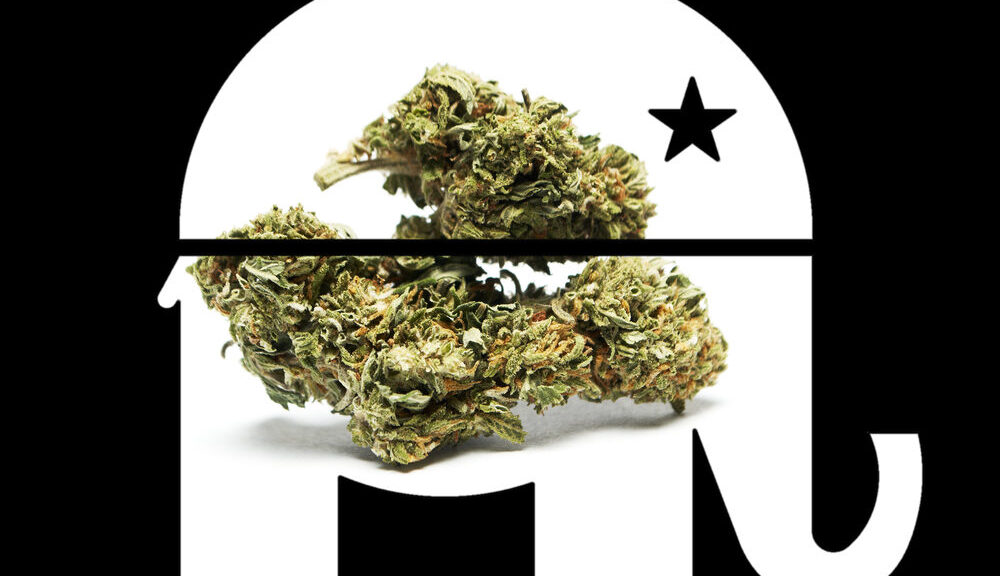 new-poll-shows-most-gop-voters-support-legal-cannabis-–