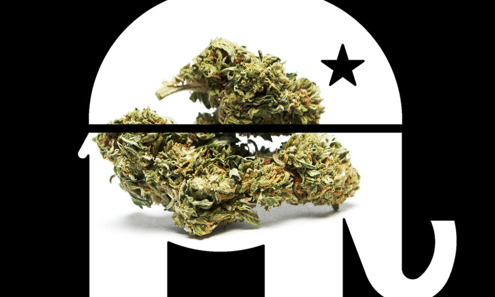 new-poll-shows-most-gop-voters-support-legal-cannabis-–