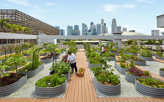 global-hotel-alliance-introduces-green-collection-|-ttg-asia