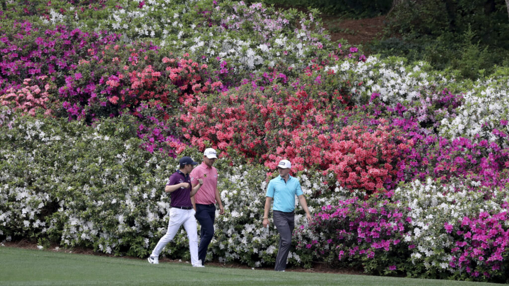 a-hole-by-hole-ranking-of-the-masters-plants