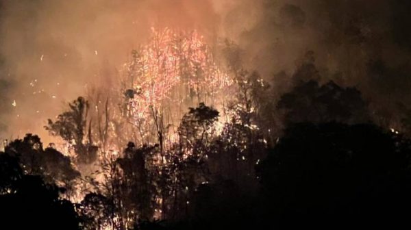 forest-park-fires-threaten-lychee-plantations-in-chiang-rai-province