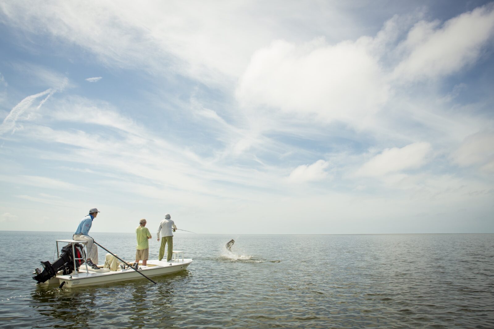 where-have-all-the-tarpon-gone?