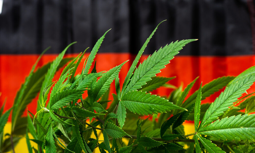 germany-reports-record-cannabis-imports-despite-slow-sales